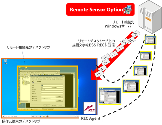 Remote Sensor Option